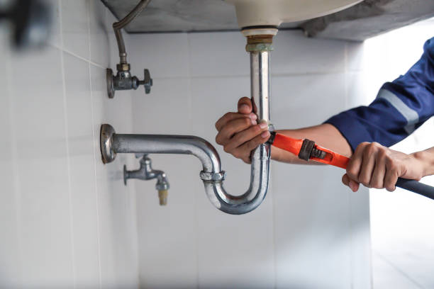 Best Drain Cleaning Services  in Sneads, FL