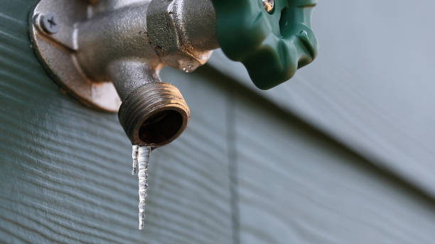 Best Shower Repair Services  in Sneads, FL