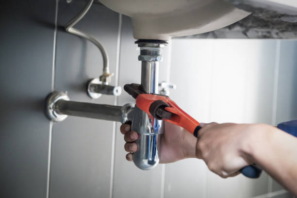 Best Clogged Drain Plumber  in Sneads, FL